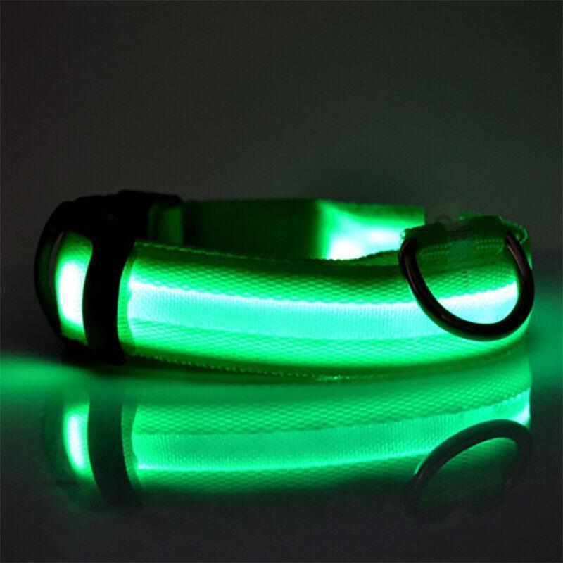 USB Rechargeable Glow Dog Collar LED Light-Up Safety Collar for Night Walks