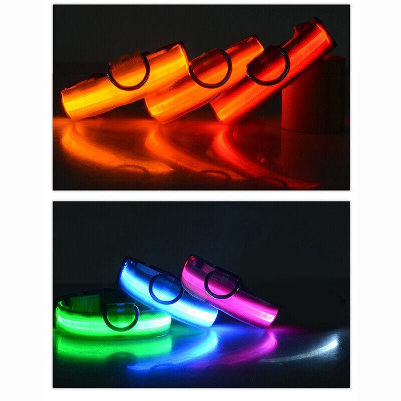 USB Rechargeable Glow Dog Collar LED Light-Up Safety Collar for Night Walks