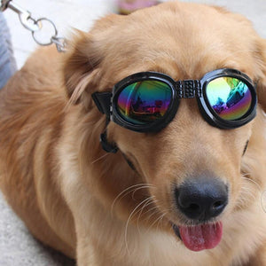 Protection Pet Dog Goggles