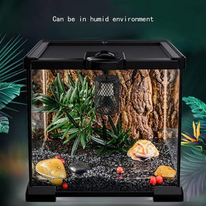 Reptile Ceramic Heat Lamp with Anti-hot Cage