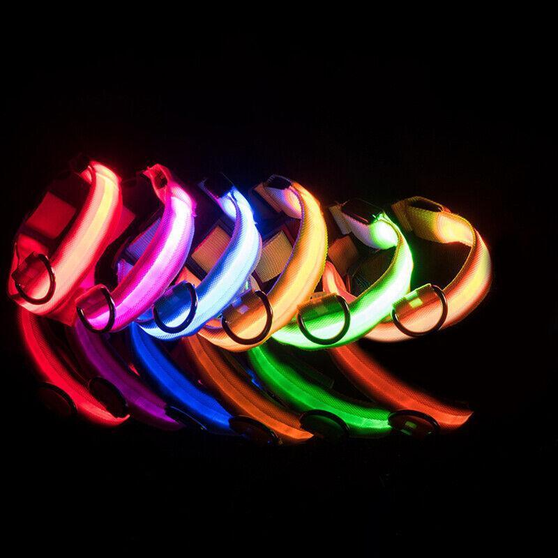 USB Rechargeable Glow Dog Collar LED Light-Up Safety Collar for Night Walks