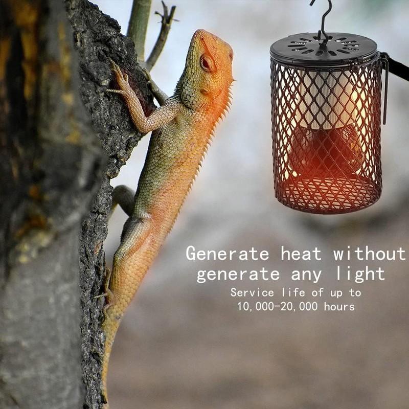 Reptile Ceramic Heat Lamp with Anti-hot Cage