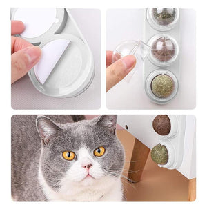 Cat Toy Catnip Ball 3 Colours