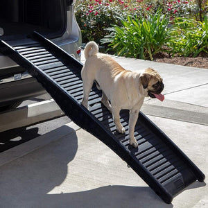 Foldable dog ramp with non-slip surface, ideal for cars, furniture access, and pet safety.