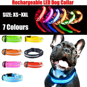 Durable & Waterproof Glow Dog Collar for Pets