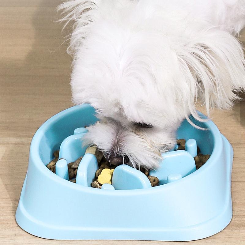 Nonslip Dog Slow Feeder Bowl Blue