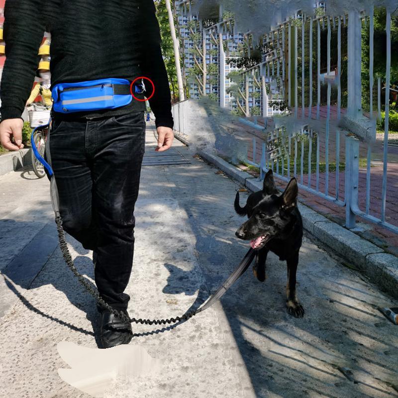 Dog Leash Lead With Waist Bag 4 Colours