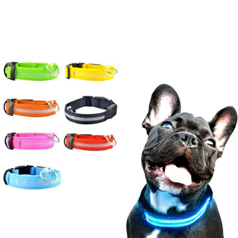 USB Rechargeable Glow Dog Collar LED Light-Up Safety Collar for Night Walks