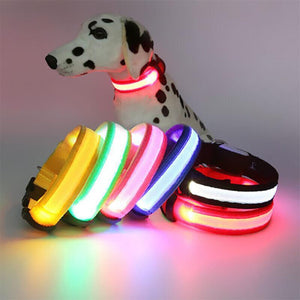 USB Rechargeable LED Dog Collar Nylon Glow Flashing Light Up Safety Pet Collars