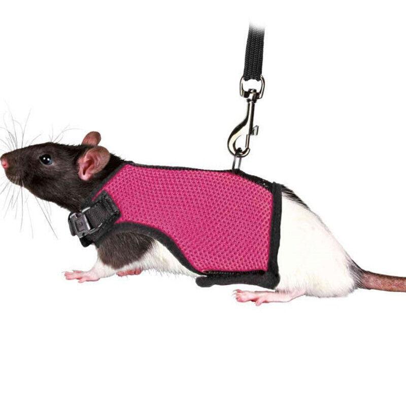 Stylish Small Animal Harness Pink