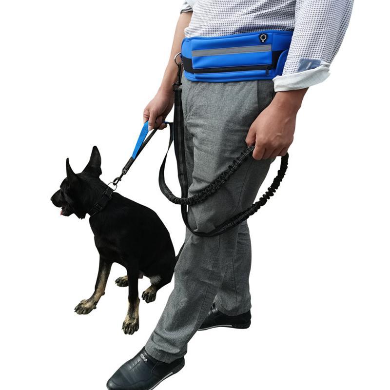 Dog Leash Lead With Waist Bag 4 Colours