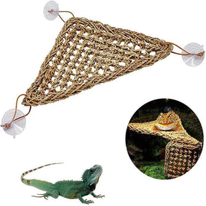 Reptile Bed - Create a Cozy Retreat for Your Reptile