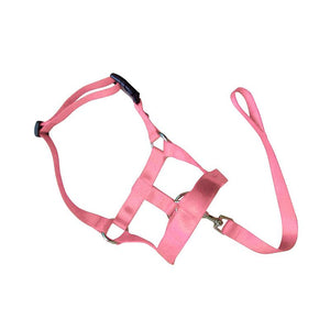 Dog Training Head Collar Halter Stop Pulling Training Tool Harness