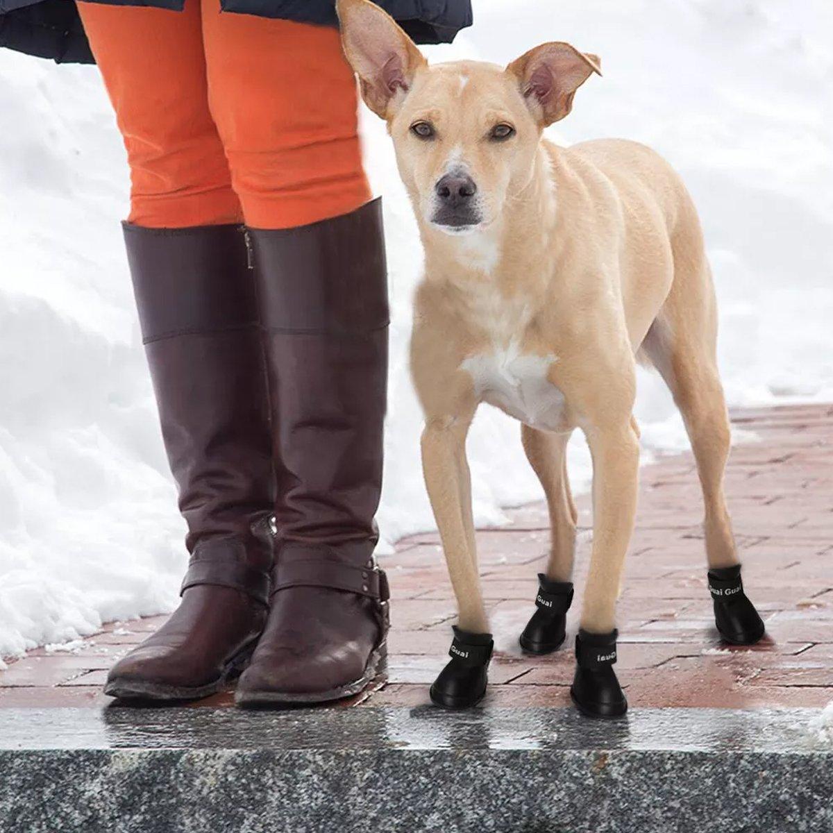 Cartoon Boots Pet Rain Boots Waterproof Non-slip Wear-resistant Dog Shoes