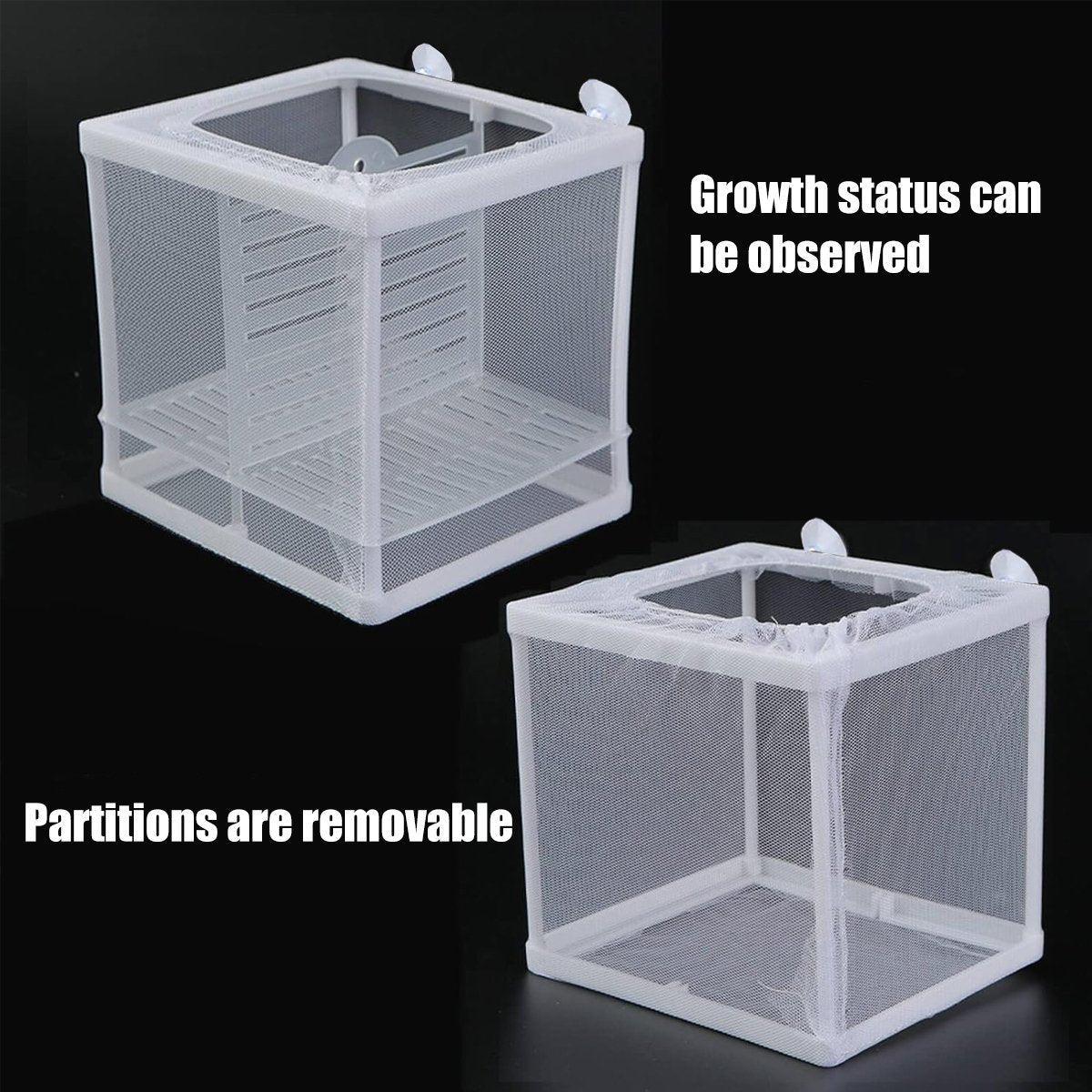 Premium Guppy Breeding Box for Safe Fish Separation