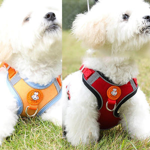 Soft Reflective Dog Vest Harness with Leash for Safe Walks