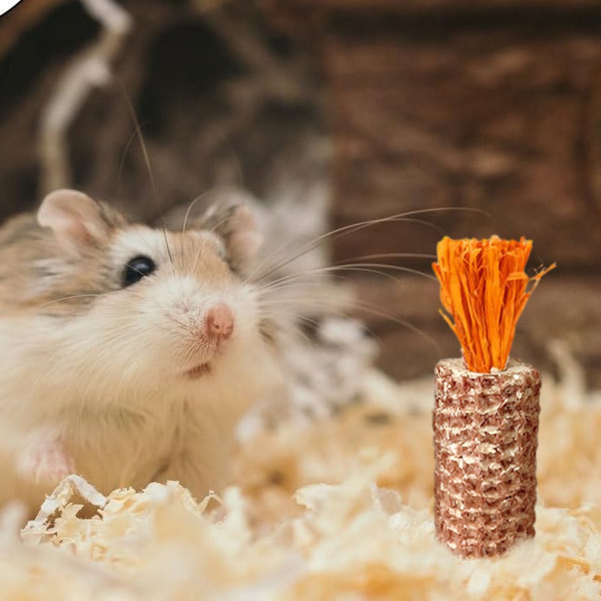 10pcs Colorful Chew-Friendly Hamster Toys for Dental Health