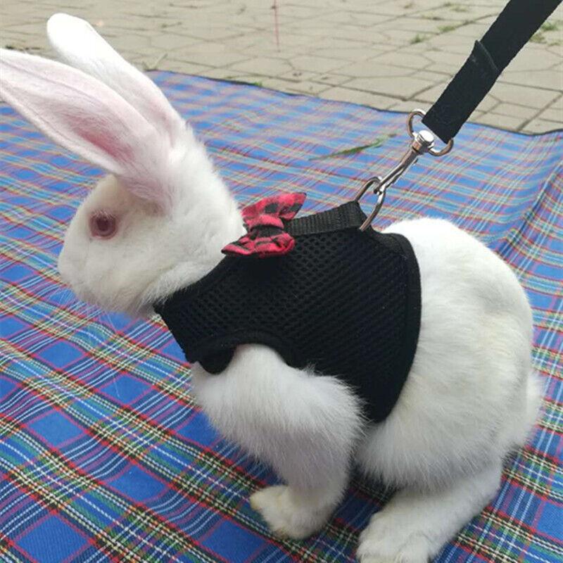 Rabbit Vest Harness Leash Lead Small Animal Pet Mesh Hamster Bunny Traction Rope