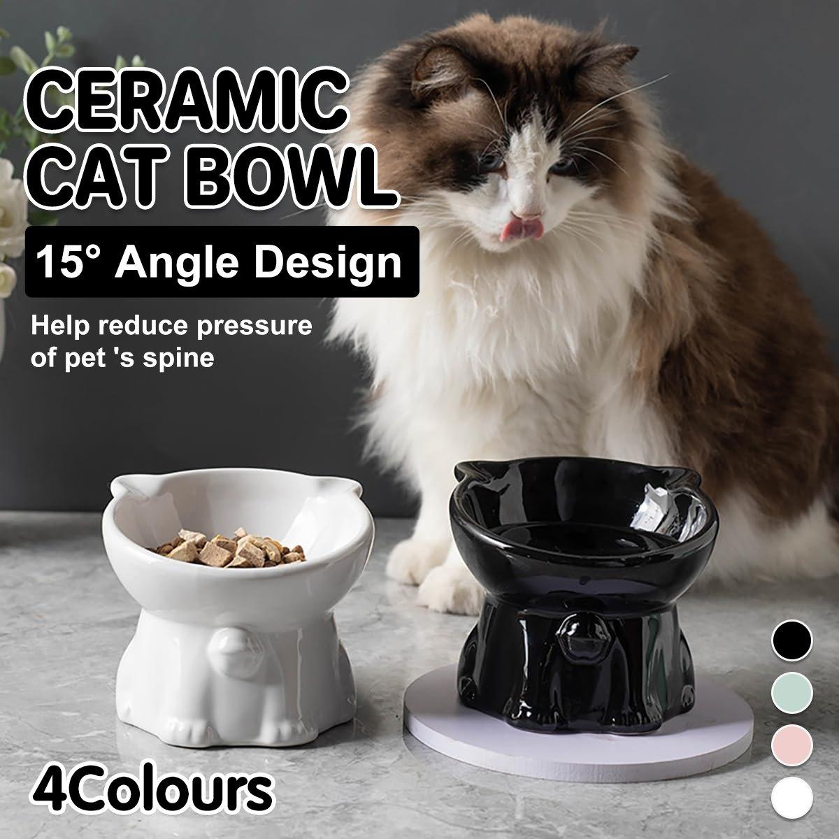 Tilted Ceramic Cat Bowl Ergonomic Design