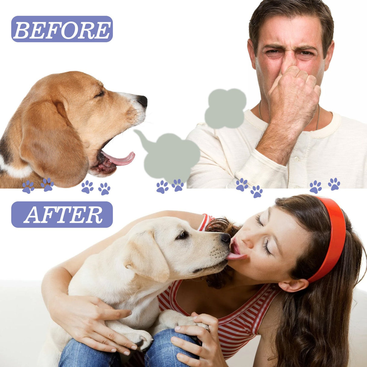 Pet Dental Spray for Dogs and Cats Breath Freshener Odor Remover Oral Cleaner