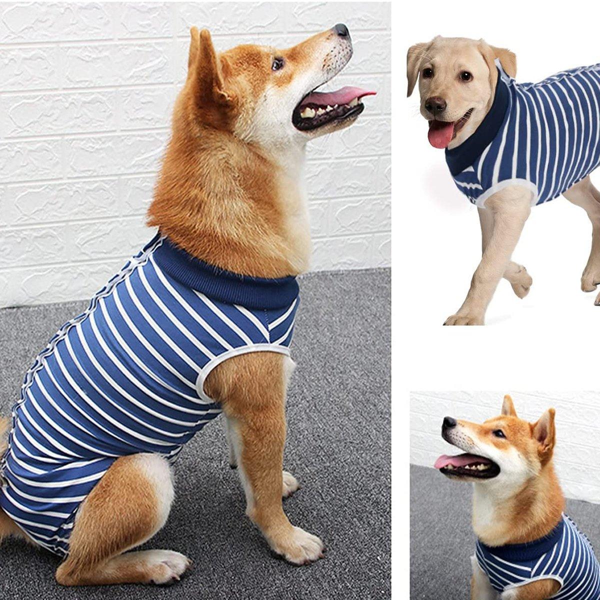 Dog Recovery Suit for Post-Surgery Breathable & Comfortable (S-XXL)