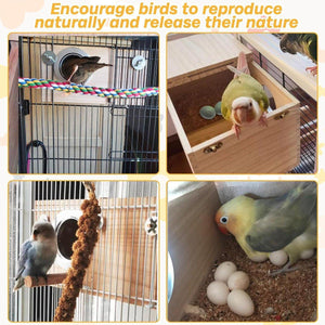 Right Opening Wooden Breeding Box for Small Birds Durable & Spacious