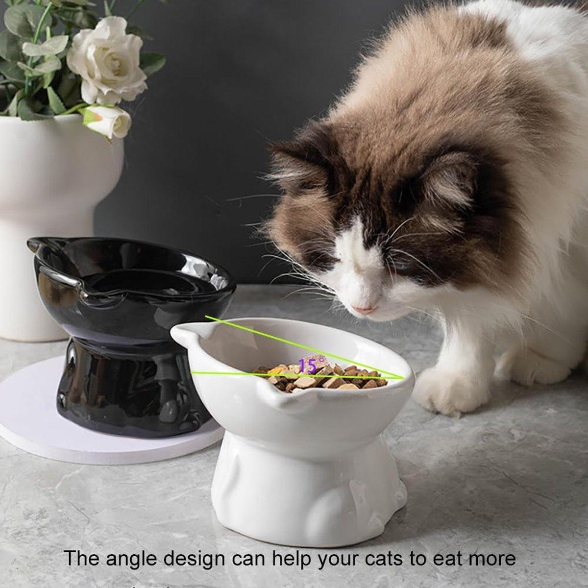 Tilted Ceramic Cat Bowl Ergonomic Design