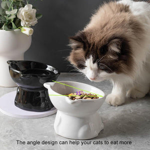 Tilted Ceramic Cat Bowl Ergonomic Design