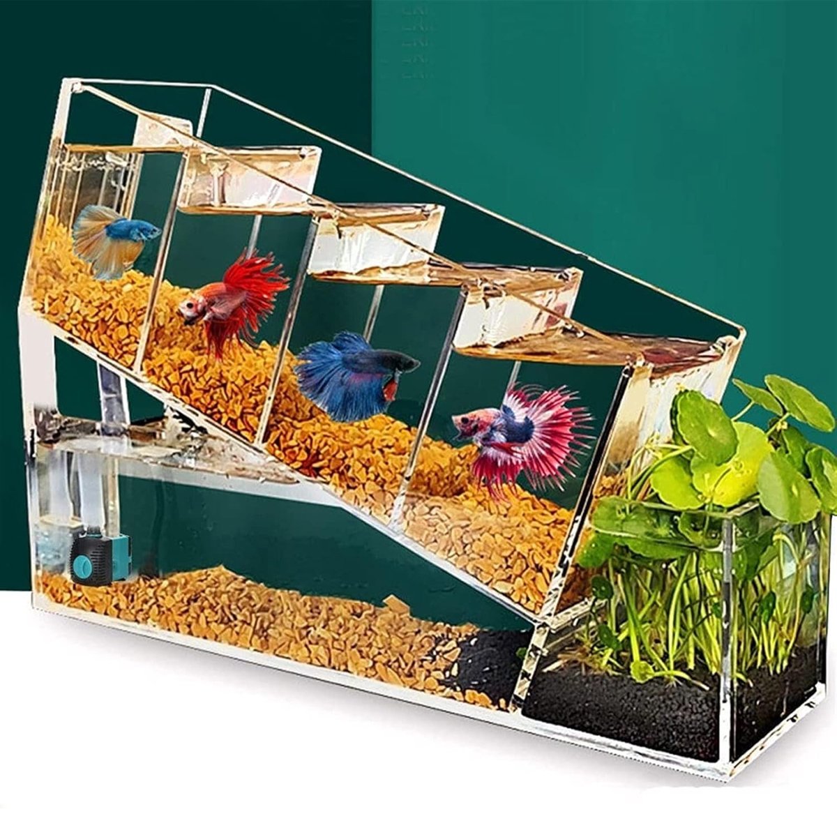 Compact Multi-Cell Desktop Fish Tank with Filtration System