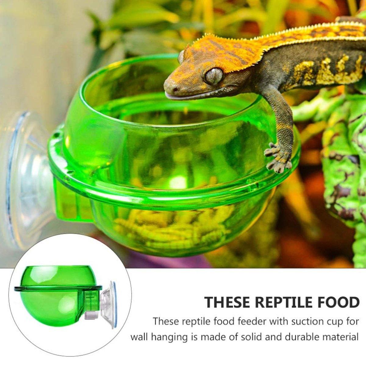 Suction Cup Reptile Feeder Bowl Anti-Escape Feeding Dish for Small Reptiles