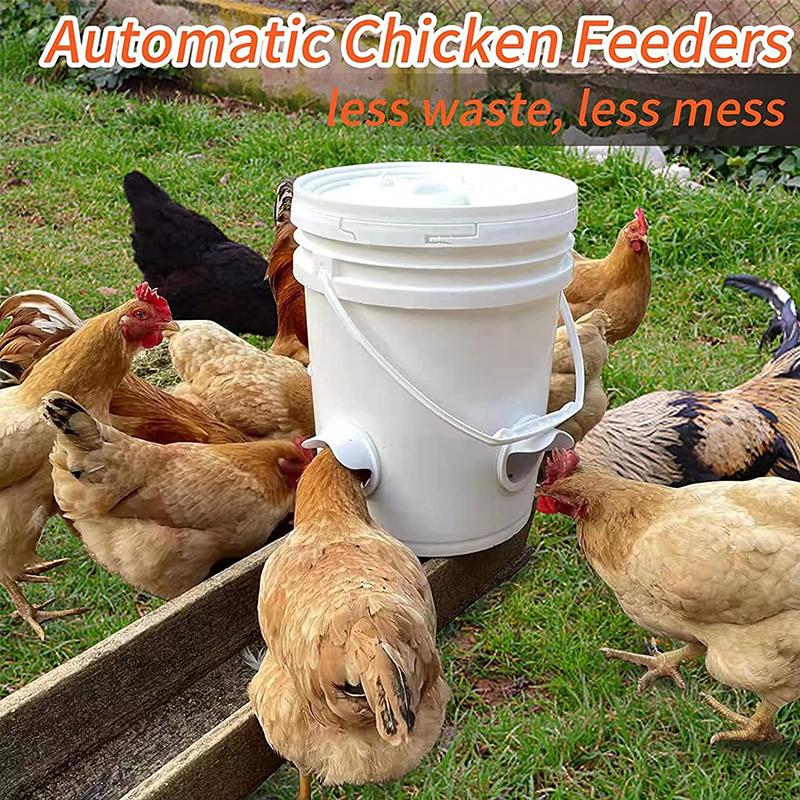 Easy-to-Assemble Weatherproof Chicken Feeder with Gravity-Feed Mechanism