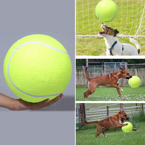 Dog Toy Tennis Ball Safe & Durable Fetch Ball for Small Dogs