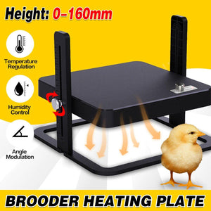 Efficient chicken heat plate for healthy chicks, ducklings, and quail