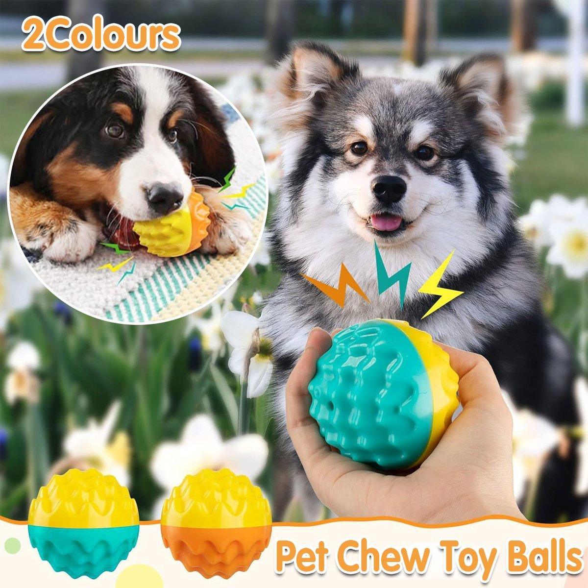 Pet Chew Toy Balls