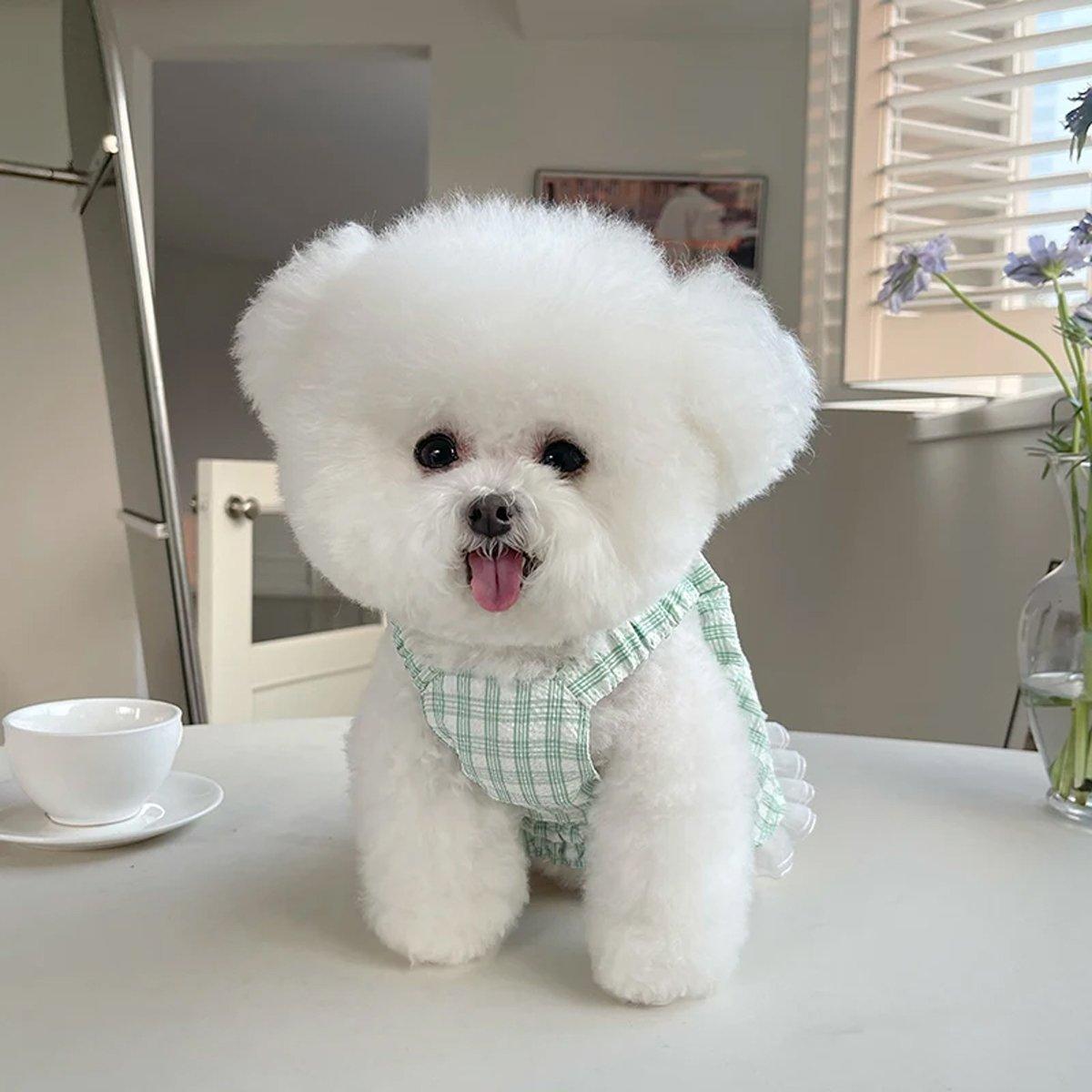 Dog Skirt Pet Clothes Spring And Summer