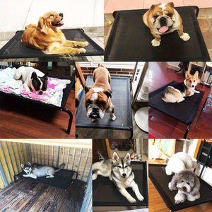 Heavy Duty Pet Raised Bed Elevated Dog Bed