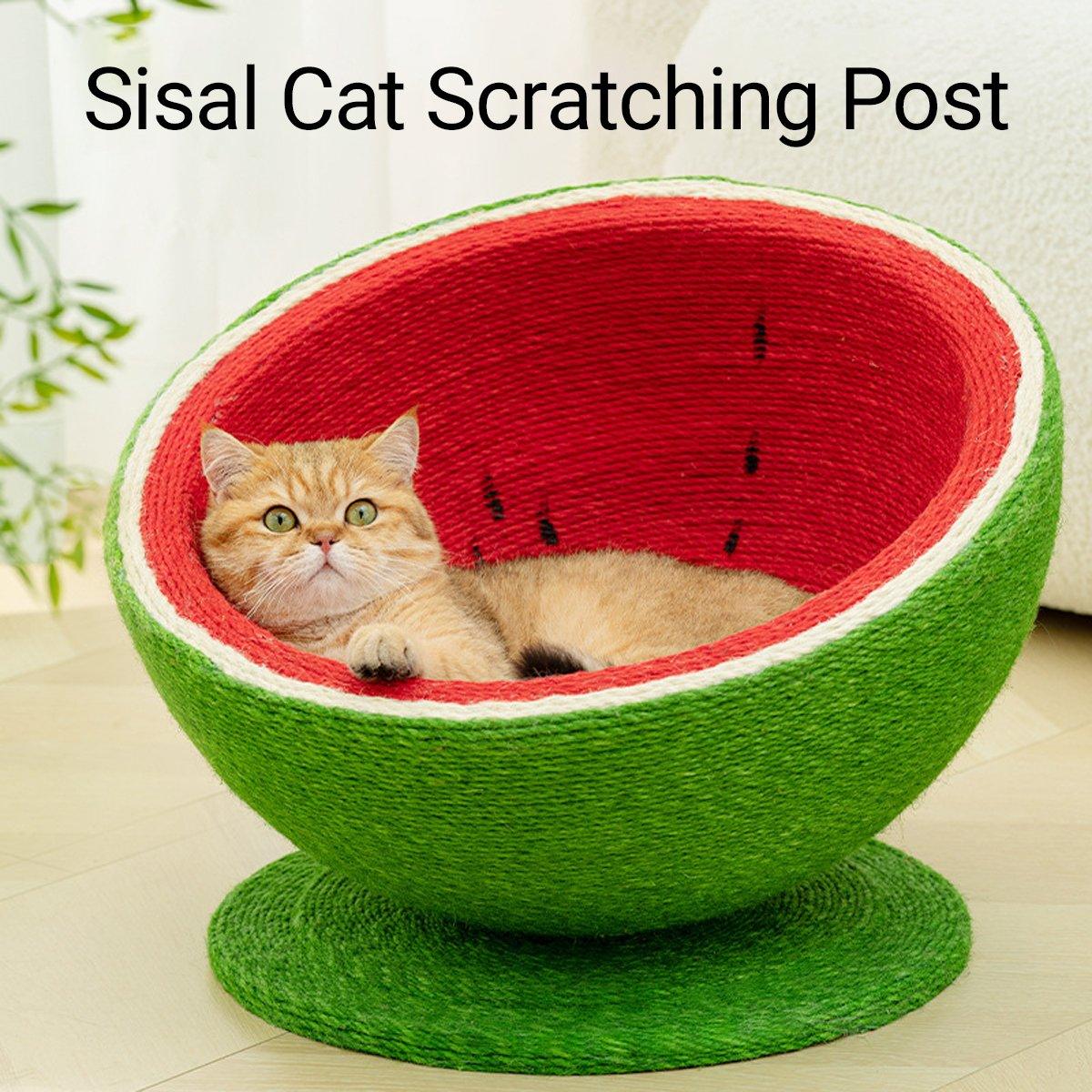 Watermelon Cat Scratching Pot Board Scratcher Toy for Cats Kitten