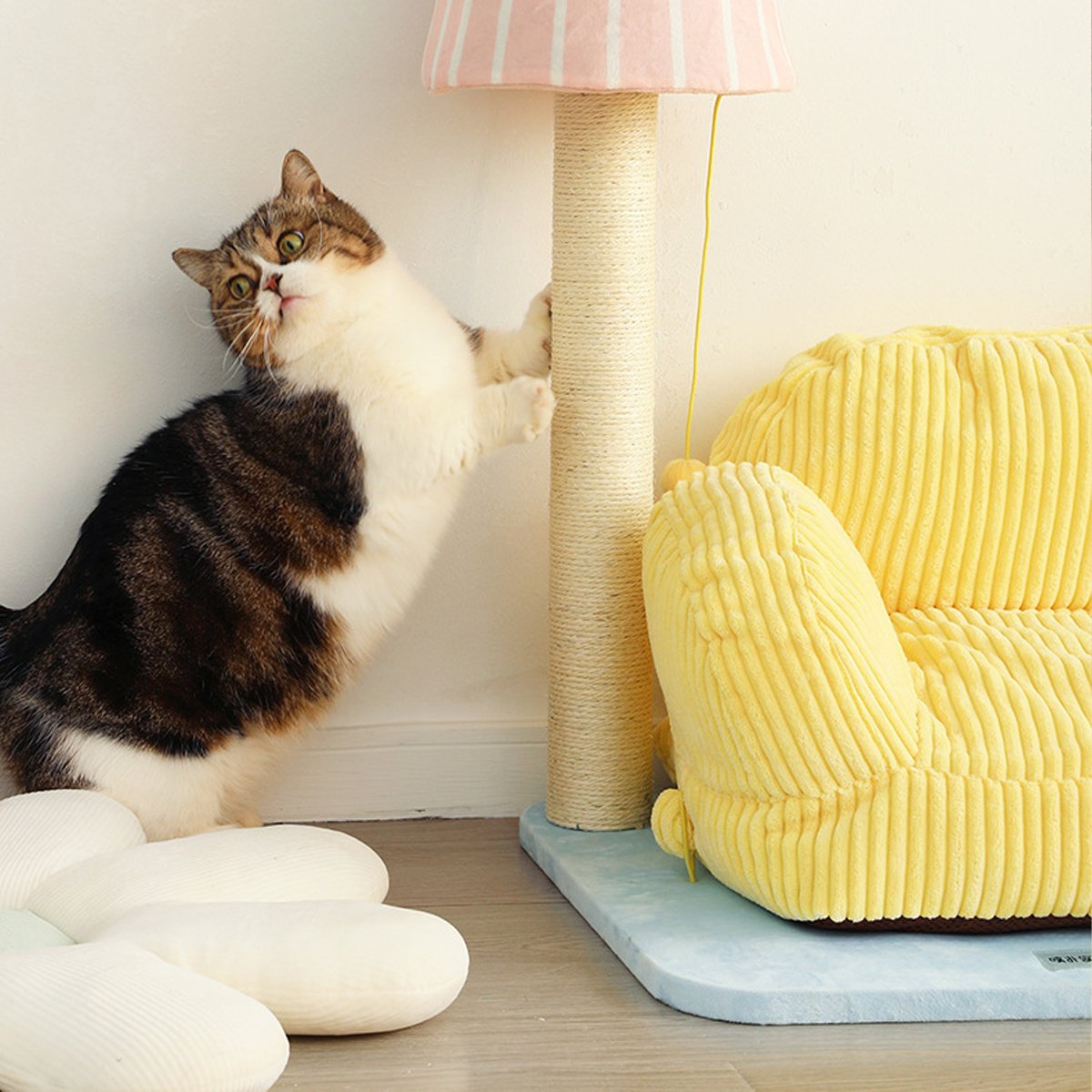 Cozy Sofa Scratch Post