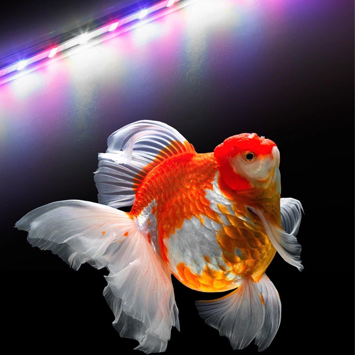 Aquatic Radiance LED Fish Tank Light - Multi-Mode Aquarium Lighting