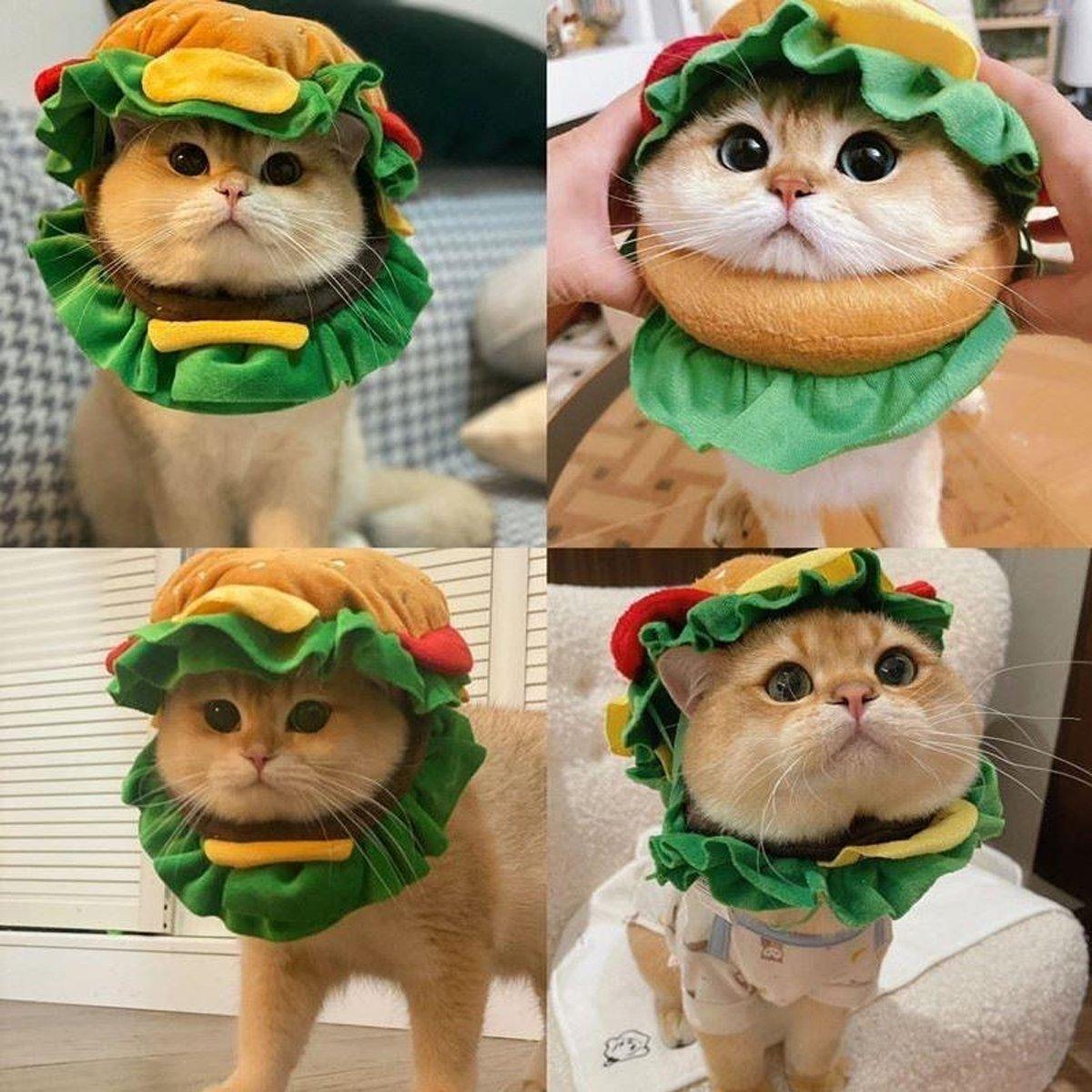 Pet Hamburger Headgear for Cats & Small Dogs