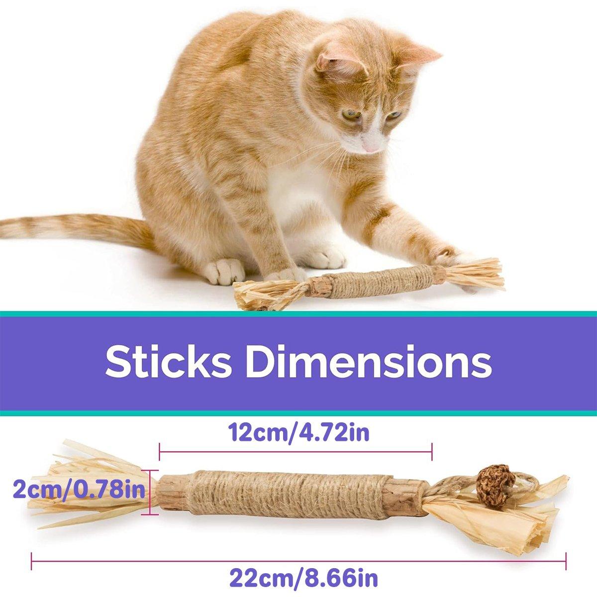 Cat Dental Health Silvervine Sticks Natural Chew Toy