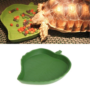 Reptile Feeding Dish Reptile Water Bowl