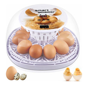 Automatic Small Egg Incubator for Chicken Pigeon