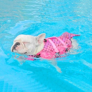 Pet Life Jacket with Shark Fin Design Dog Flotation Vest for Safe Swimming