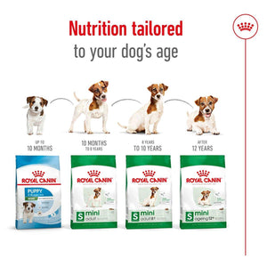 Royal Canin Mini Adult Dry Dog Food 800g/2kg/4kg