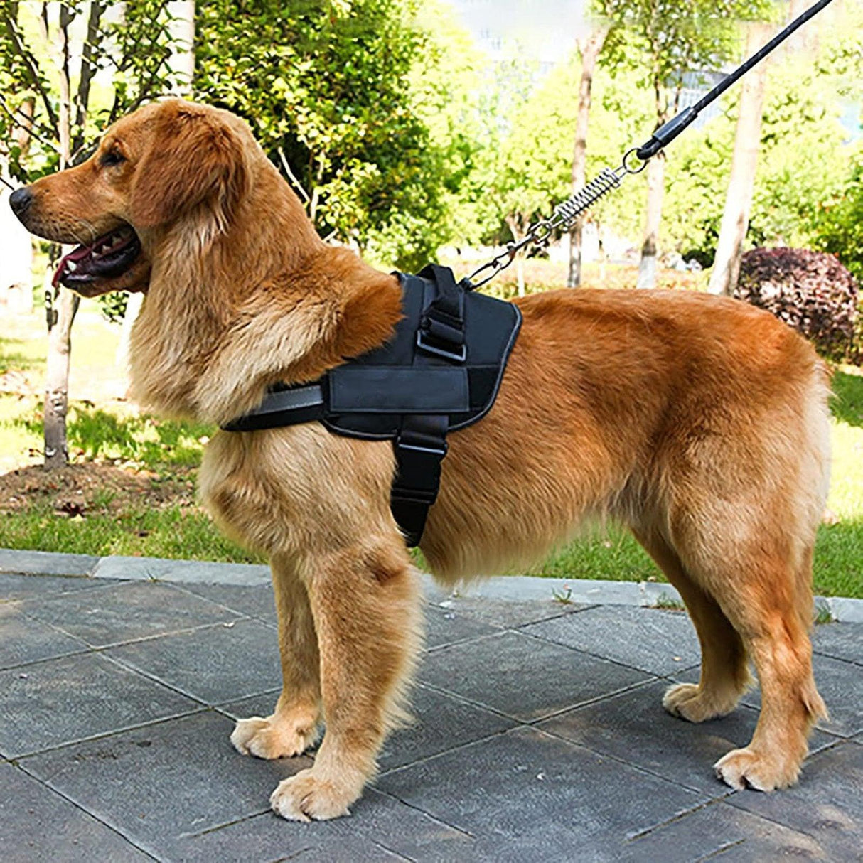 Service Working Dog Vest Training Bite Vest Duty Duty Chest Strap Soft Lining