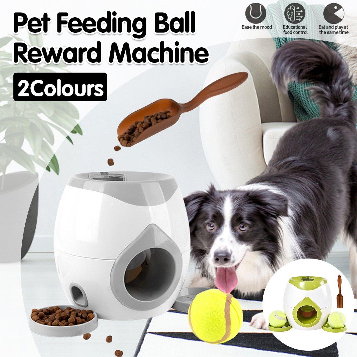 Automatic Ball Roll Out Launcher Interactive Dog Toy