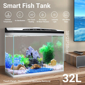 Small Fish Tanks