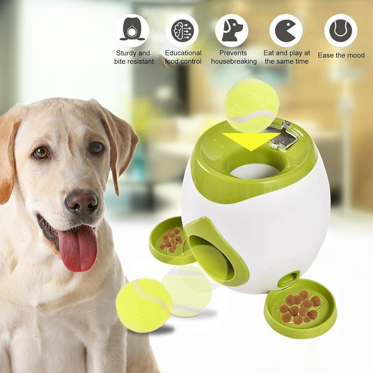 Automatic Ball Roll Out Launcher Interactive Dog Toy