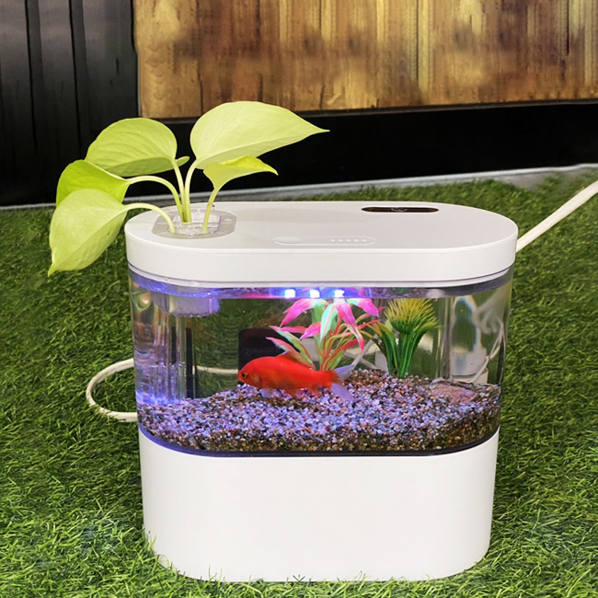 Eco-Friendly Mini Self-Circulating Small Fish Tank | Desktop Aquarium